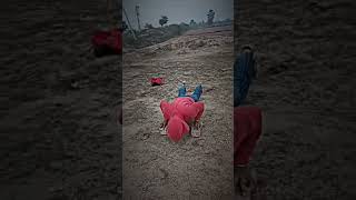 Push up kaise more  How to push up army ytshorts [upl. by Inol]