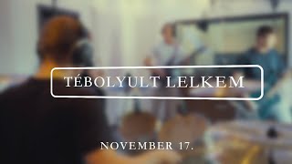 Kingfishers  Tébolyult Lelkem Official Video [upl. by Eiramasil]