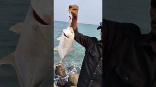 Catching Giant Trevally Fish in Uppada Fishing Harbour Fishers King YouTube Channel [upl. by Spatz]