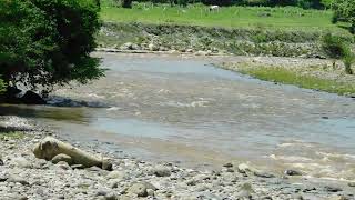 río Guarinomuy cerca del Magdalena [upl. by Forelli]