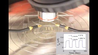 Crumpling approach enhances photodetectors light responsivity [upl. by Hoppe]