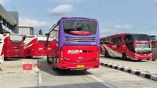 SUMPAH RAMENE ORA UMUUUM  AKTIVITAS HUNTING KESIBUKAN MINGGU SORE DI DALAM TERMINAL PURWOREJO‼️ [upl. by Nnylrefinnej517]