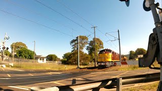 Locomotives 42107 4708 and 42101 passing through Woy Woy [upl. by Juakn]