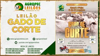 agropecleiloescom LEILÃO GADO DE CORTE  MARTELO DE OURO LEILÕES  GURUPITO 06112024 [upl. by Enelyaj]