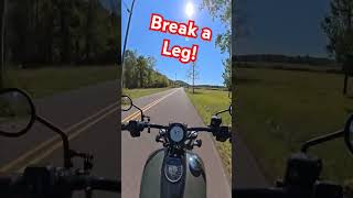 Break a leg fun fact shorts funny short comedy comedyvideo funfact funnyshorts [upl. by Winfield]