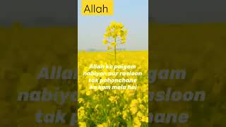 Farishton ke naam islamicvideo ytshorts deeneislam deenkibaatein tube youtube islamic deen [upl. by Ived138]