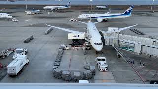 Tokyo Haneda Airport Beladung eines ANA Airlines Passagierflugzeugs [upl. by Ellehcil]