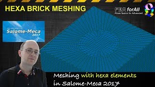 Salome Meca Tutorial Meshing with Hexa Elements [upl. by Vail893]