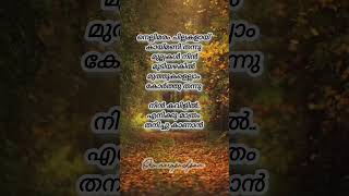 നെല്ലിമരം ചിലകളായ്✨🤍mukilemukilekeerthichakramohanlaltrendingsonglyrics [upl. by Lady558]