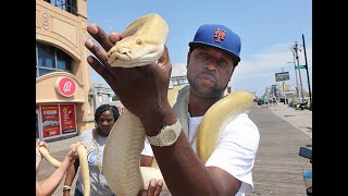 Why are snakes on the Atlantic City Boardwalk [upl. by Briant549]