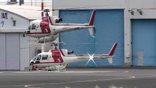 農薬散布ヘリコプターフォーメーション Aerospatiale AS350B3 JA6505 JA6508 朝日航洋Helicopter [upl. by Araz]