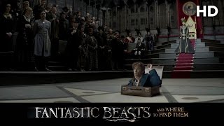 Fantastic Beasts and Where to Find Them 2016 Macusa HD [upl. by Nniw]