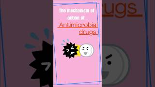 MECHANISM OF ACTION OF ANTIMICROBIAL DRUGS [upl. by Nailil]