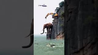 ELEPHANT IN TROUBLE disney rescuemissions [upl. by Meave]