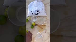 Limón y YESO  Que Pasa Si los Mezclo [upl. by Hennessy]