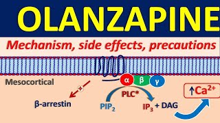 Olanzapine 5 mg and 10 mg  Uses dose and side effects [upl. by Jecon]