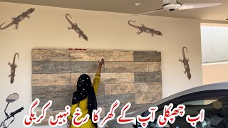 Ghar Se Chipkali Bhagane Ka TarikaGet Rid Of Lizards At HomeTips And TricksTarab Khan Vlogs [upl. by Ailerua]