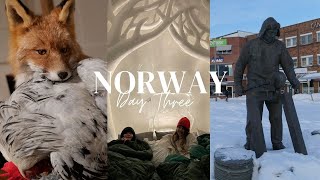 Norway Travel Vlog Day 03  Sorrisniva Ice Hotel  Alta Museum  Alta Tour  Ice Skating amp Swimming [upl. by Annahgiel]