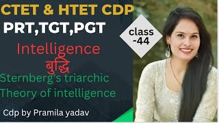 Sternbergs triarchic theory of intelligence  cdp for CTET HTET REET DSSSB by Pramila Yadav [upl. by Gilburt]