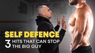 3 hits that can stop the big guy Self defence Power punch [upl. by Nybor]