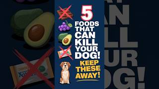 5 Dangerous Foods That Can Kill Your Dog pethealthtips doghealth dogcaretips shortvideo [upl. by Inalan201]