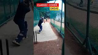 Classic Cover Drive ShotCover DrivesCover Drives Shotbadalnishad shorts coverdrive [upl. by Brownson]