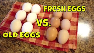 Hard Boiling Fresh Eggs Homestead Problem SOLVED [upl. by Sandeep]