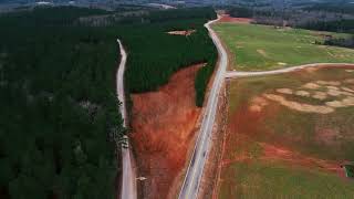 Tigercat M726G Mulcher Clearing Over 30 Acres [upl. by Nanaek]