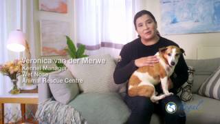 REGAL PET HEALTH  First TV advertisement English [upl. by Sufur]