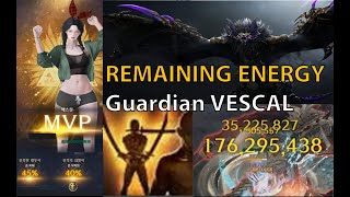 LOST ARK RE DEATHBLADE  Guardian VESCAL 1640 [upl. by Euqinwahs]