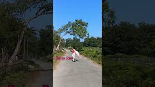 Umoli Jamoli song  Daisy \ assamesesong song love like dance comment [upl. by Yug]