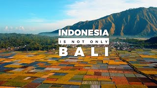 The Reasons behind Lomboks popularity  Travel Documentary Indonesia is not only Bali Ep 03 [upl. by Eseila]