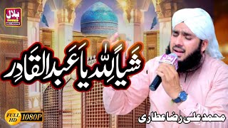 Shayian Lillah Ya Abdul Qadir  Muhammad Ali Raza Attari 2024 [upl. by Tannen]