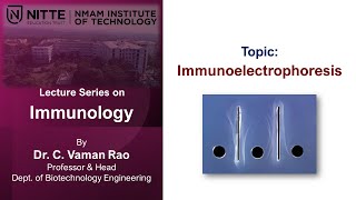 Immunology  VT5 Immunoelectrophoresis [upl. by Bohlin]