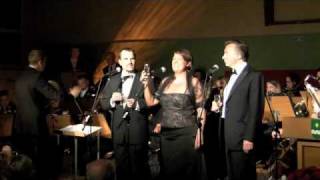 Champagnerlied Operettenkonzert Vwb 2010 [upl. by Alyse]