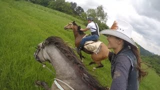 Epic horse galloping with GoPro by KristyM Ranch [upl. by Namsu366]