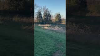 Deer hunting season  hunting deer farm outdoors hunter familycompound [upl. by Nilhtac]