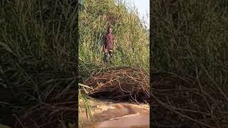 Arthur Lukandu in the River Nzoa Mumias 9 [upl. by Eiffe]