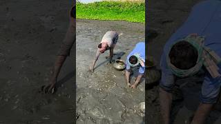 Villagers fishing in mud fishing fishvideo shorts [upl. by Groveman]