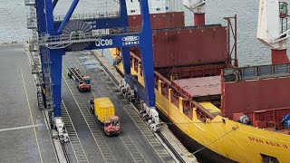 Effortless Unloading Automatic Gantry Crane in Action on a Modern Container Ship [upl. by Platon]