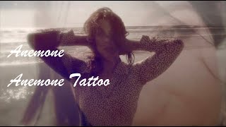 Fawn Anemone Tattoo Lyric Video [upl. by Duile]