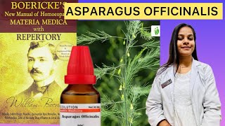 Asparagus officinalis homeopathic mother tincture in Hindi [upl. by Seraphine506]