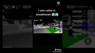 Roblox  i saw calixo in brookhaven shorts roblox tiktok calixo brookhaven [upl. by Neelrad]