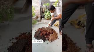 Heres how I prepare potting soil mix for summer plants [upl. by Kevon279]