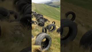 Rolling Tires Down the Hill for a 1 Lakh Prize [upl. by Hach]