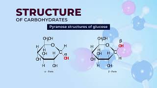 Carbohydrates  Structure and Physicochemical Properties [upl. by Josler]