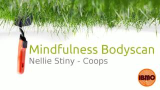 Bodyscan Meditatie Mindfulness [upl. by Aihsyt]