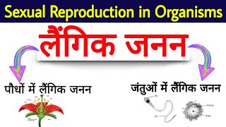 जीवों में जनन Reproduction of organisms Reproduction in plants and Animals  जन्तुओं में जनन [upl. by Yttisahc104]