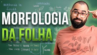 Morfologia da Folha  Aula 17  Módulo 5 Botânica [upl. by Willet]