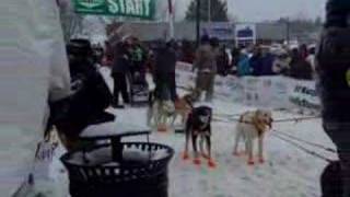 Can Am Dog Sled Race Fort Kent Maine [upl. by Elades]